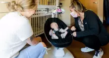 4moms MamaRoo 5.0 Infant Seat Art.227273 Sage electronic baby seat/smart swing