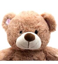 Projektors ar mūziku BEAR HADI pink BabyMix 37214