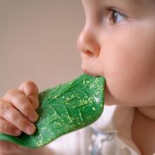 Oil Carol Teether Toy Art.227780 Leaf  Teether (natural rubber)