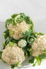 Oil Carol Teether Toy Art.227782 Cauliflower  Teether (natural rubber)