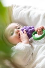 Oil Carol Teether Toy Art.227783 Grape Teether (natural rubber)
