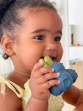 Oil Carol Teether Toy Art.227793 Blueberry  Teether (natural rubber)