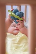 Oil Carol Teether Toy Art.227793 Blueberry  Teether (natural rubber)