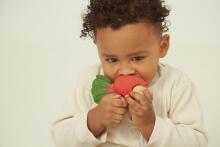Oil Carol Baby Car Art.227798 Beetroot
