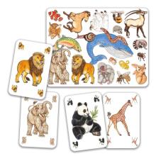Card game - Zanimatch