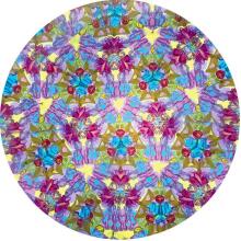 Svoora - Rotating Kaleidoscope - Owls
