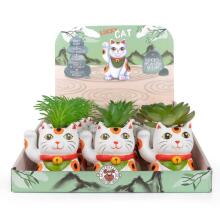 Lucky Cat - Deco Lucky Plants in Pot Ø 5cm, 3 assorted
