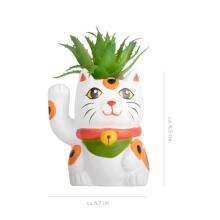 Lucky Cat - Deco Lucky Plants in Pot Ø 5cm, 3 assorted