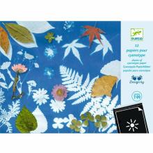Cyanotype - Cyanotype Paper