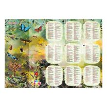 Tubi Jelly set - Bugs