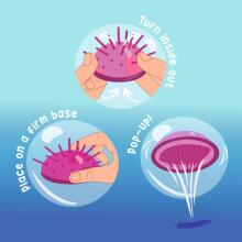 Sandy Oktopus - Pop-up game, set of 2, 2 assorted