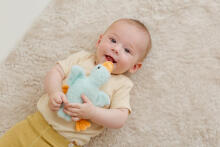 BALIBAZOO BB 82403 Sensory Blue Goose