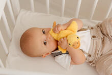BALIBAZOO BB 82405 Sensory Yellow Goose