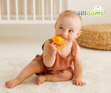 GILIGUMS GG 30049 Teether dog POP IT