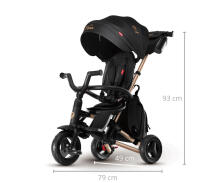 Bebe Basic Nova Gold Art.235558 Black Children's tricycle with handlebars, roof and inflatable wheels