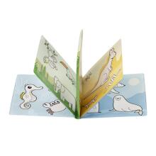 AKUKU A0657 Magical educational book