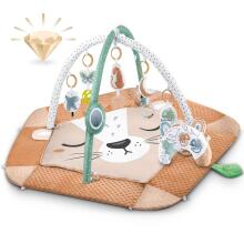 Nukido Interactive 5-in-1 Play Arch Art.237689