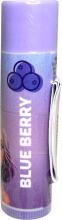 WOW GENERATION lip balm Flavoured Lip Balm, asort., WOW00112