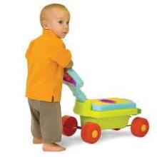 Taf Toys Developmental Walker Art.10205