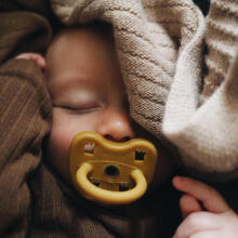 Hevea Natural Rubber Pacifier Anatomical Art.239435 Grey/Sage Natural anatomical 3-36 month