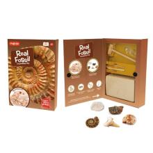 MAGNOIDZ Fossil Dig Kit