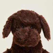 Warmies - ChocolateLabrador (regular size)