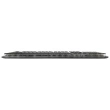 White Shark GK-003141 Tachi Black US