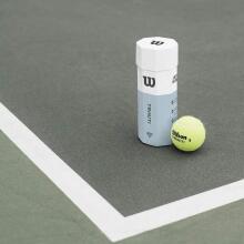 Wilson Triniti Tennis Ball Art.242114