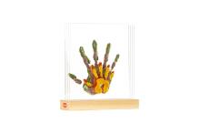 Tiny Love Family Prints Art.244154 pen imprint kit