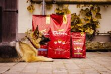 Корм для взрослых собак REGULAR PLUS с ягненком, 12 кг