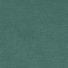 Bērnu ratiņi Carrello Bravo plus 2024 CRL-5515 Palm Green