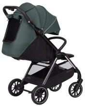 Bērnu ratiņi Carrello Delta CRL-5517 2024 Jungle Green