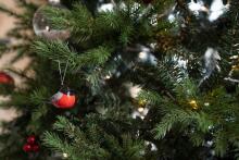 Winteria ornaments Svilpītis 3 gab.