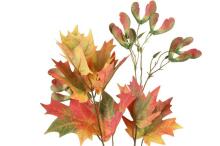 4Living Maple single 75 cm