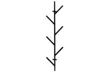 4Living Wall hooks Twiggy 6 branches