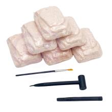 WOOPIE Excavation 6in1 Dinosaur Skeleton Little Archaeologist 6 pcs.
