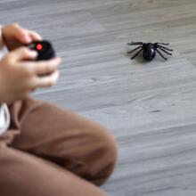 WOOPIE Spider Interactive Remote Controlled