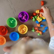 WOOPIE Montessori izglītojošā spēle Krāsu šķirotājs Dinozauri 56 gab.