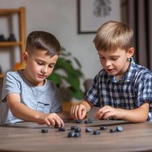 Magnetic Chess Game Art.248663