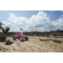 BERG XL pedāļa Gokart Case IH BFR