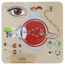 MASTERKIDZ Educational Board Sense of Sight Montessori