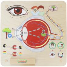 MASTERKIDZ Educational Board Sense of Sight Montessori