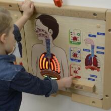 MASTERKIDZ Montessori Respiratory System Educational Board