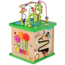 TOOKY TOY Educational Cube Sorter Maze Intertwining Animals
