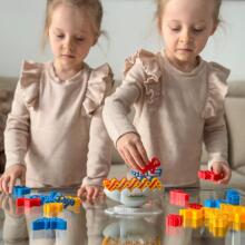WOOPIE Balance Animals Arcade Game Animal Tower