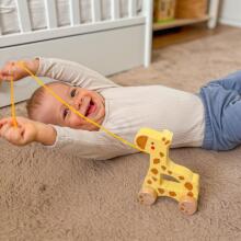 TOOKY TOY Wooden Pull-along Giraffe