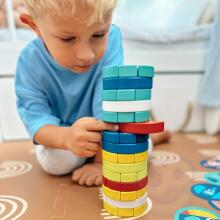 TOOKY TOY Skill Game Blocks Animals FSC Certificate