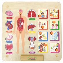 MASTERKIDZ Educational Board Human Body System Montessori
