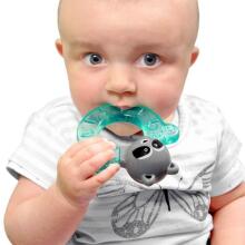 Bbluv Teether  Art.250265