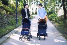 Arrue Eko Art.250784 Arena Baby stroller
